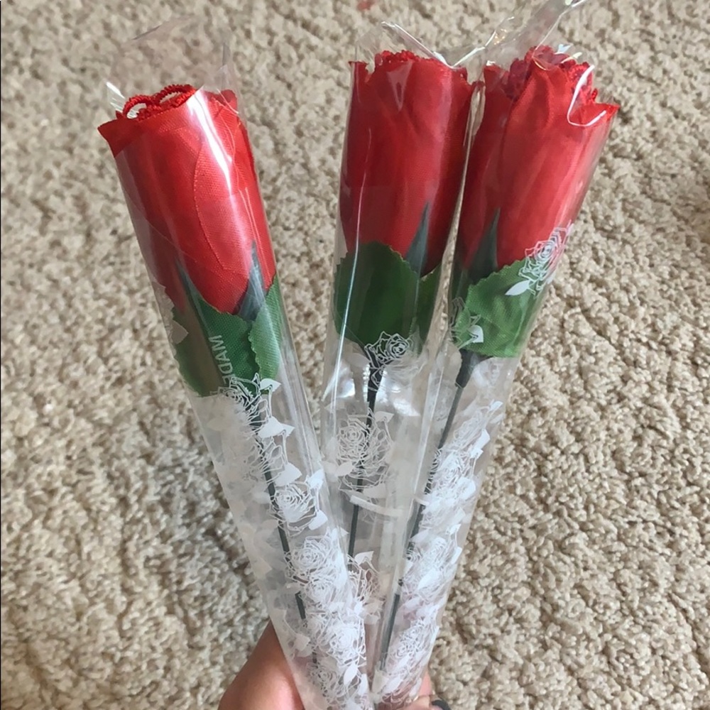 roses with underwear inside! - Picture 3 of 8